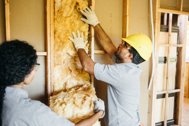 Attic Insulation Near Me in Healdton, OK